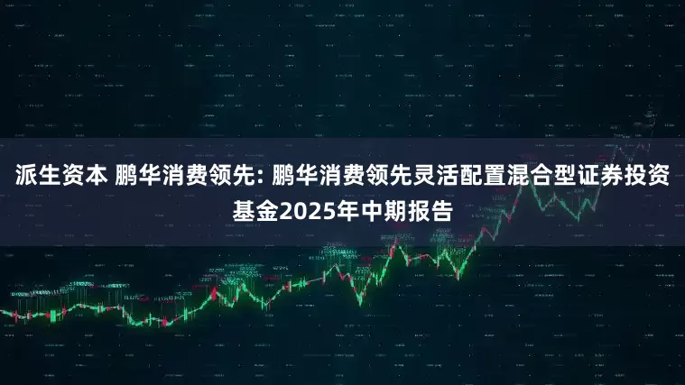 派生资本 鹏华消费领先: 鹏华消费领先灵活配置混合型证券投资基金2025年中期报告